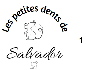 Boîte à dents